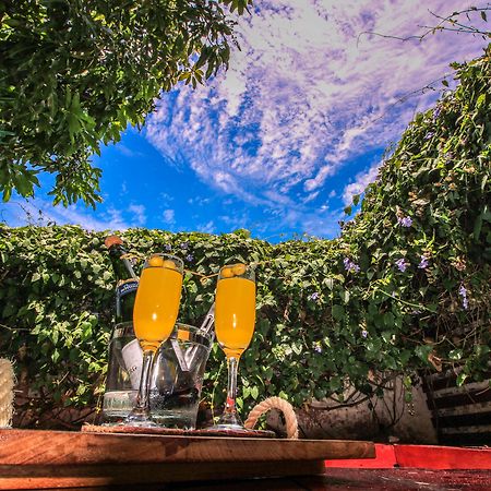 Hotel Boutique Casa De Los Santos Reyes فاليدوبار المظهر الخارجي الصورة
